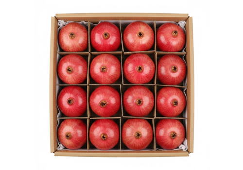 Top Organic fruits Exporters In alappey kerala india